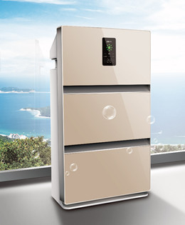 Home Air Purifier/606